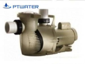 Pentair - Whisperflo XF VS 022010 Variable Speed Pool Pump, 3HP 1Phase